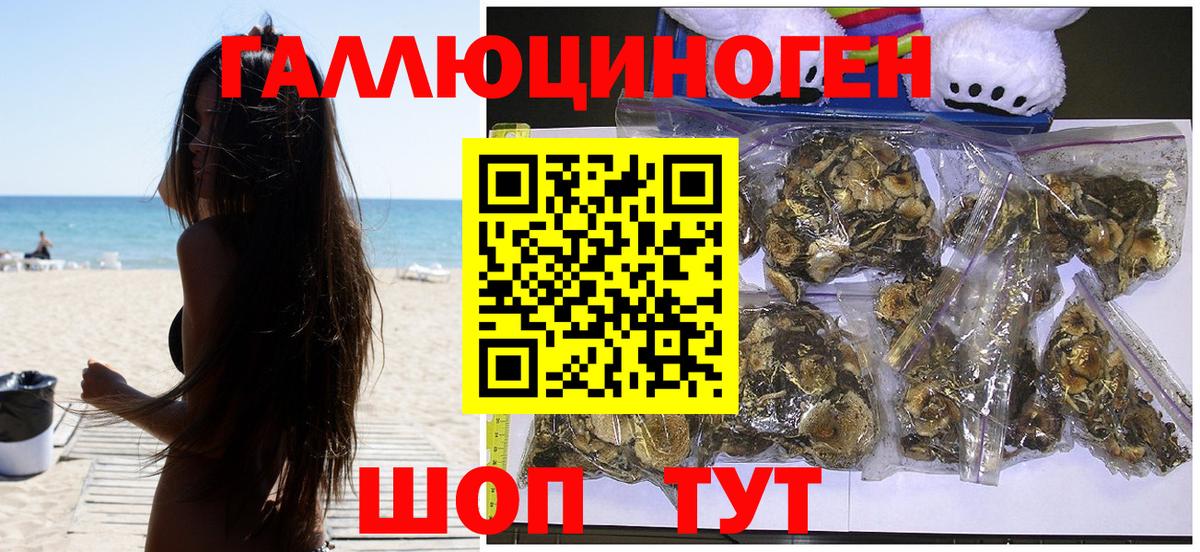 Галлюциногенные грибы Psilocybe  Вход с VPN  где можно купить наркотик  Сатка  Псилоцибиновые грибы Psilocybe 