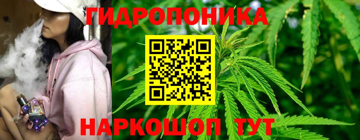 Бошки марихуана сатива  Вход с VPN  МАРИХУАНА планчик  Сатка 